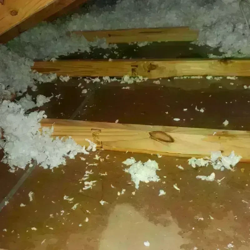 Attic Water Damage in Wickliffe, KY